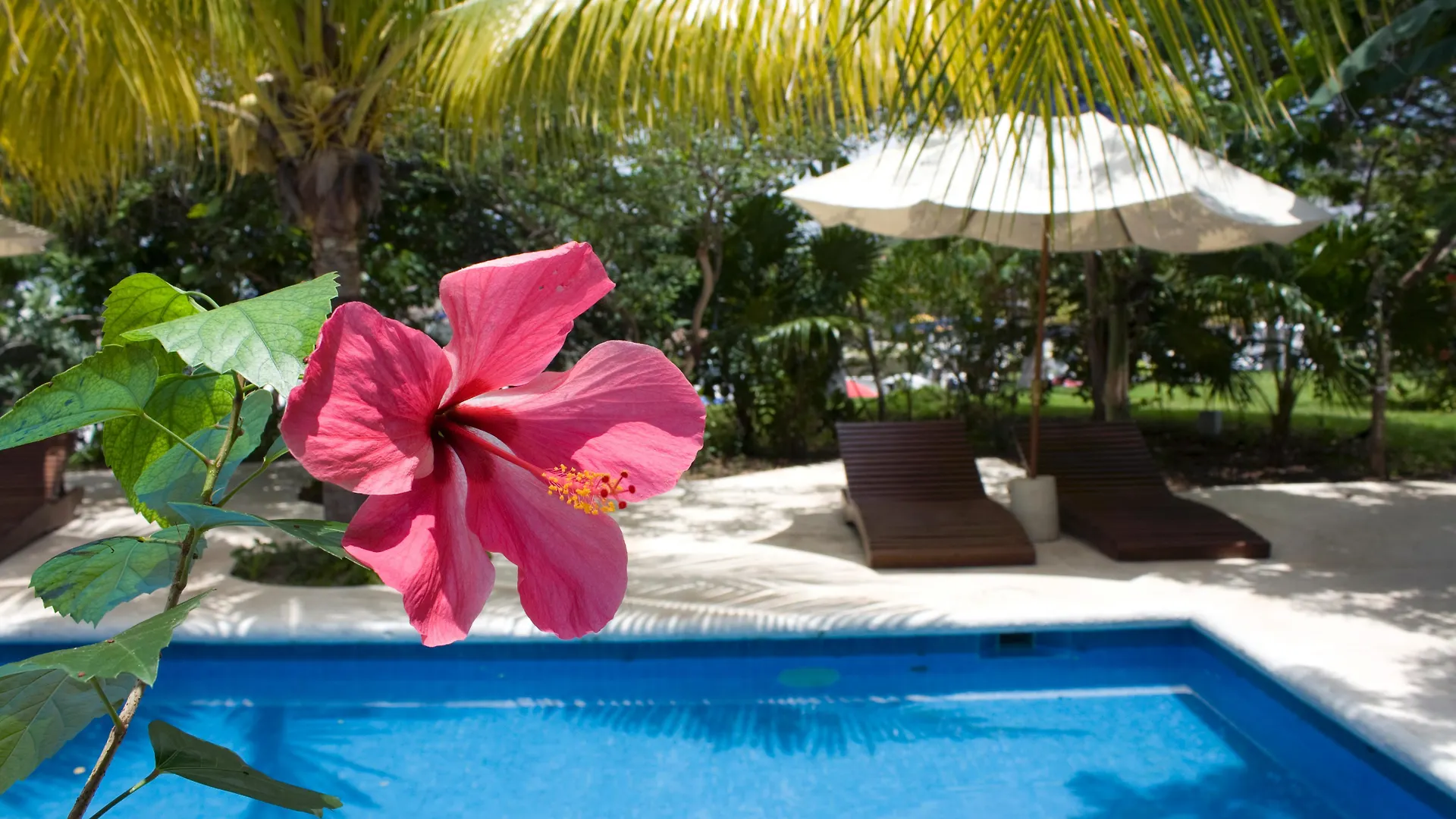 Sotavento Hotel & Yacht Club Cancun